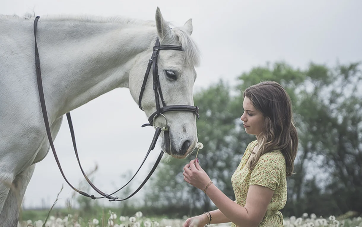 Mignard Laurence Photographe Photographe Mariage A Pessac Reportages